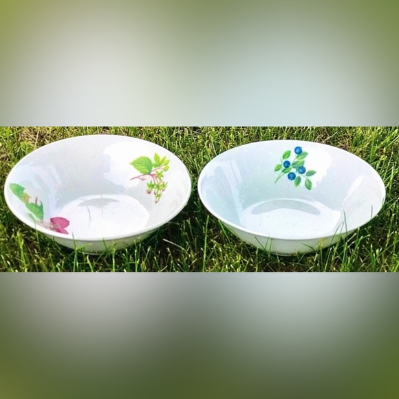 Set of 2 SELTMANN WEIDEN BAVARIA West Germany Qualitats Porzellan Soup Bowls - Picture 8 of 10